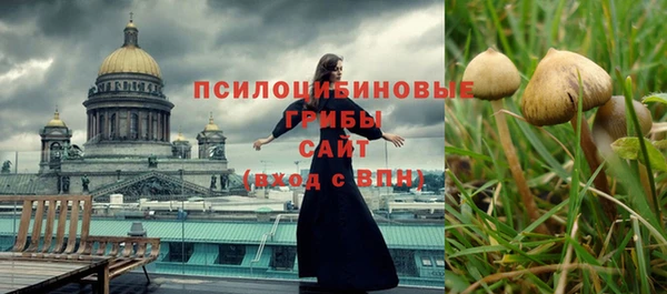метадон Гусь-Хрустальный