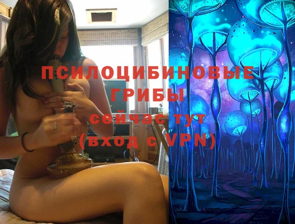 круглые Дмитриев