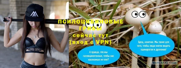 МДМА Дмитров