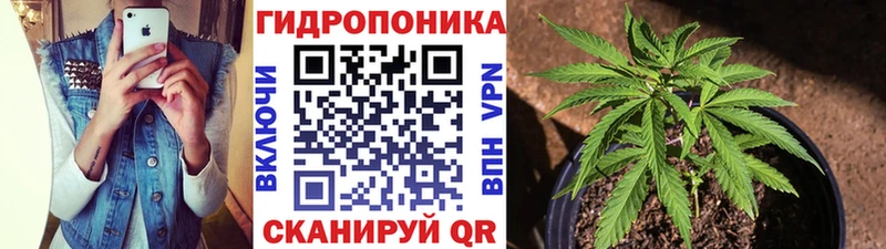 магазин    Керчь  Каннабис семена 